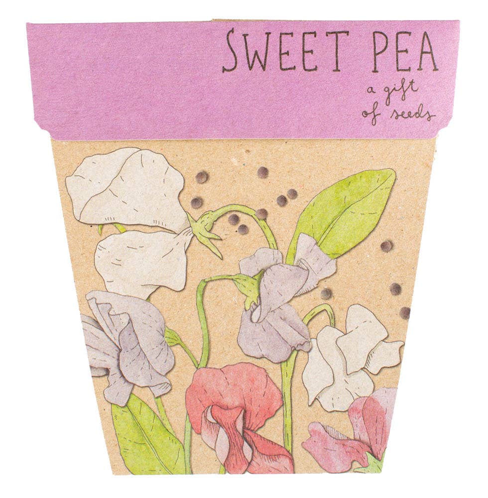 Gift Card & Seeds - Sweet Pea