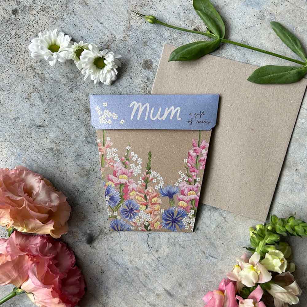 Gift Card & Seeds for Mum - Snapdragon, Alyssum, Cornflower Seeds