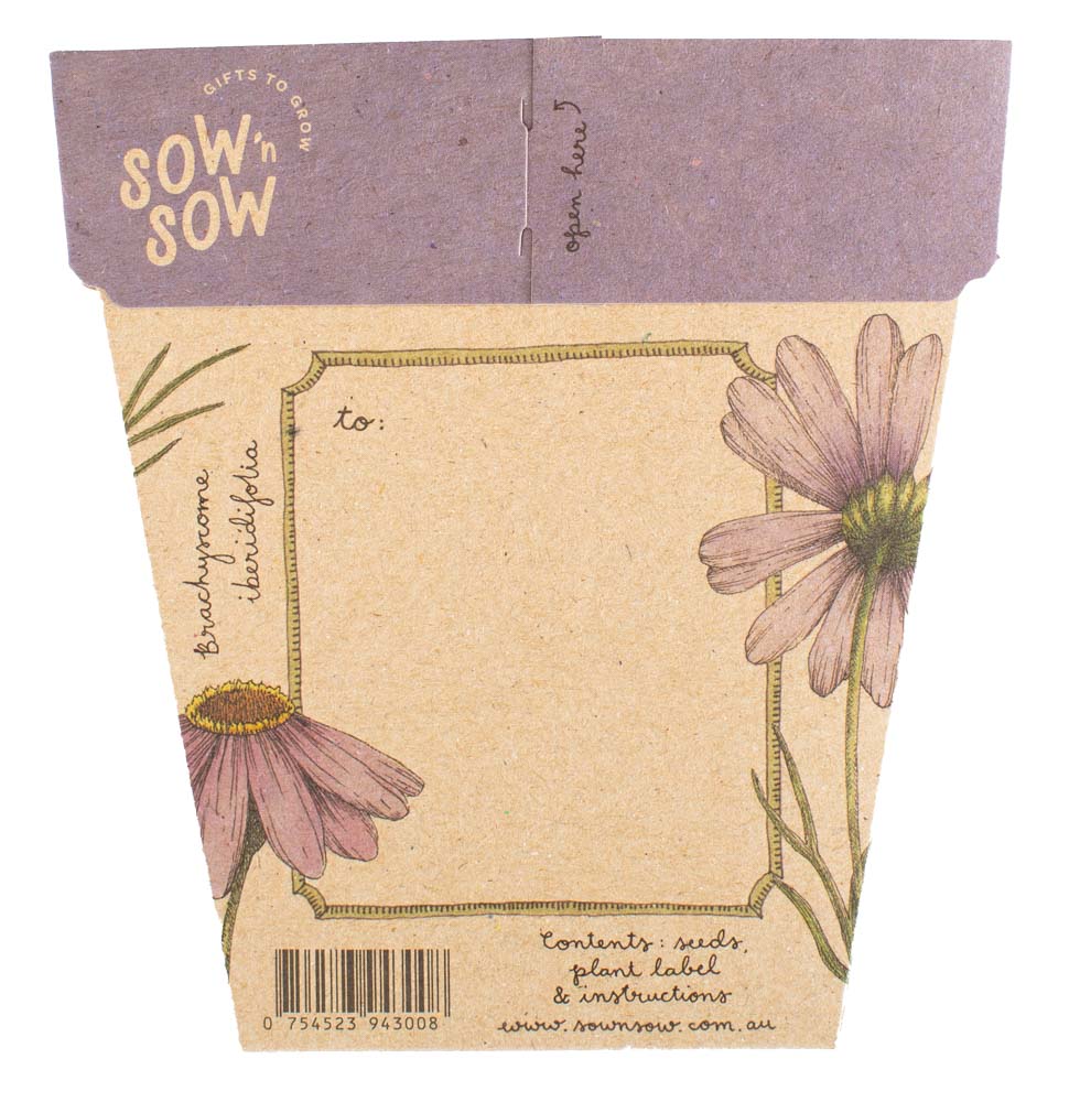 Gift Card & Seeds - Swan River Daisy