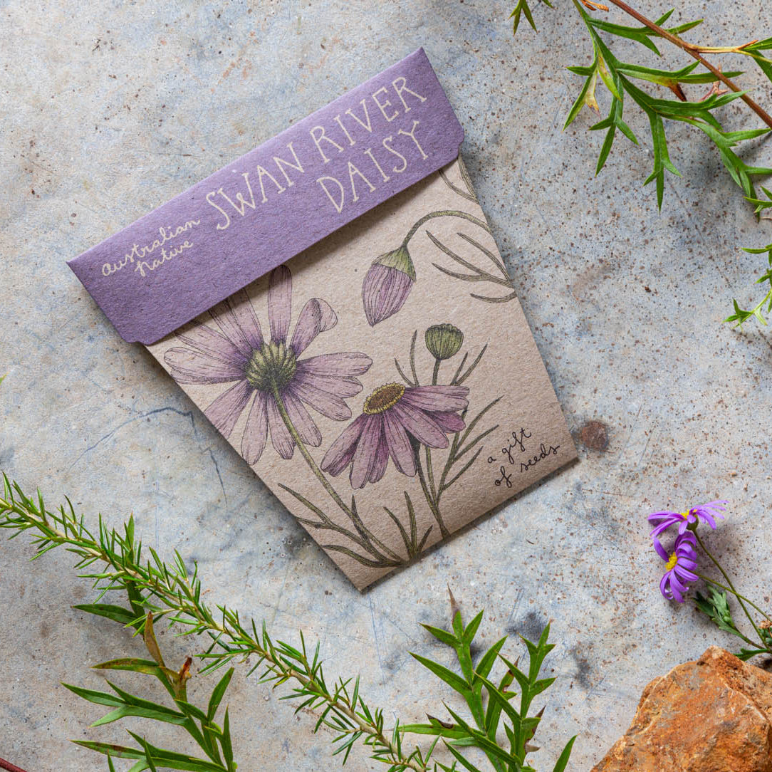 Gift Card & Seeds - Swan River Daisy