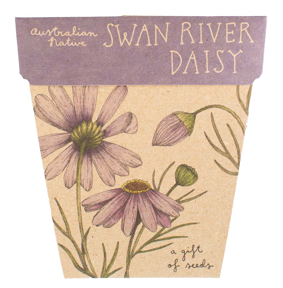 Gift Card & Seeds - Swan River Daisy