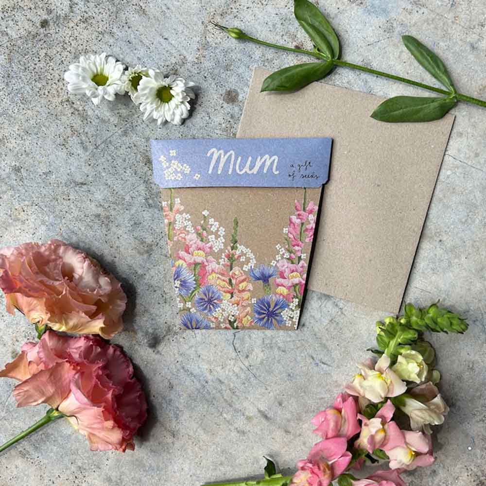 Gift Card & Seeds for Mum - Snapdragon, Alyssum, Cornflower Seeds