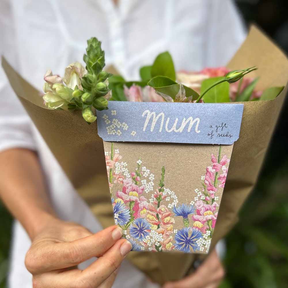 Gift Card & Seeds for Mum - Snapdragon, Alyssum, Cornflower Seeds