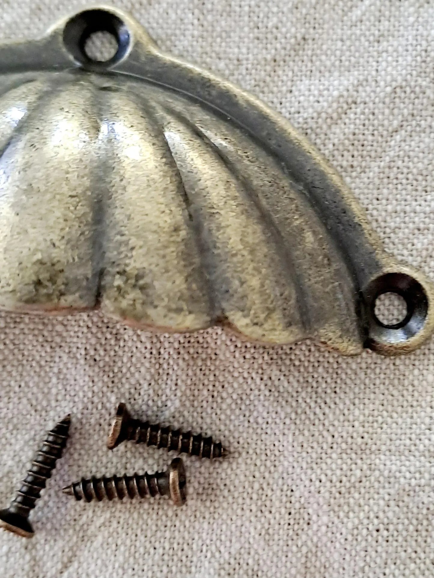 Drawer Pull 'Antique Bronze Shell' Cup Style