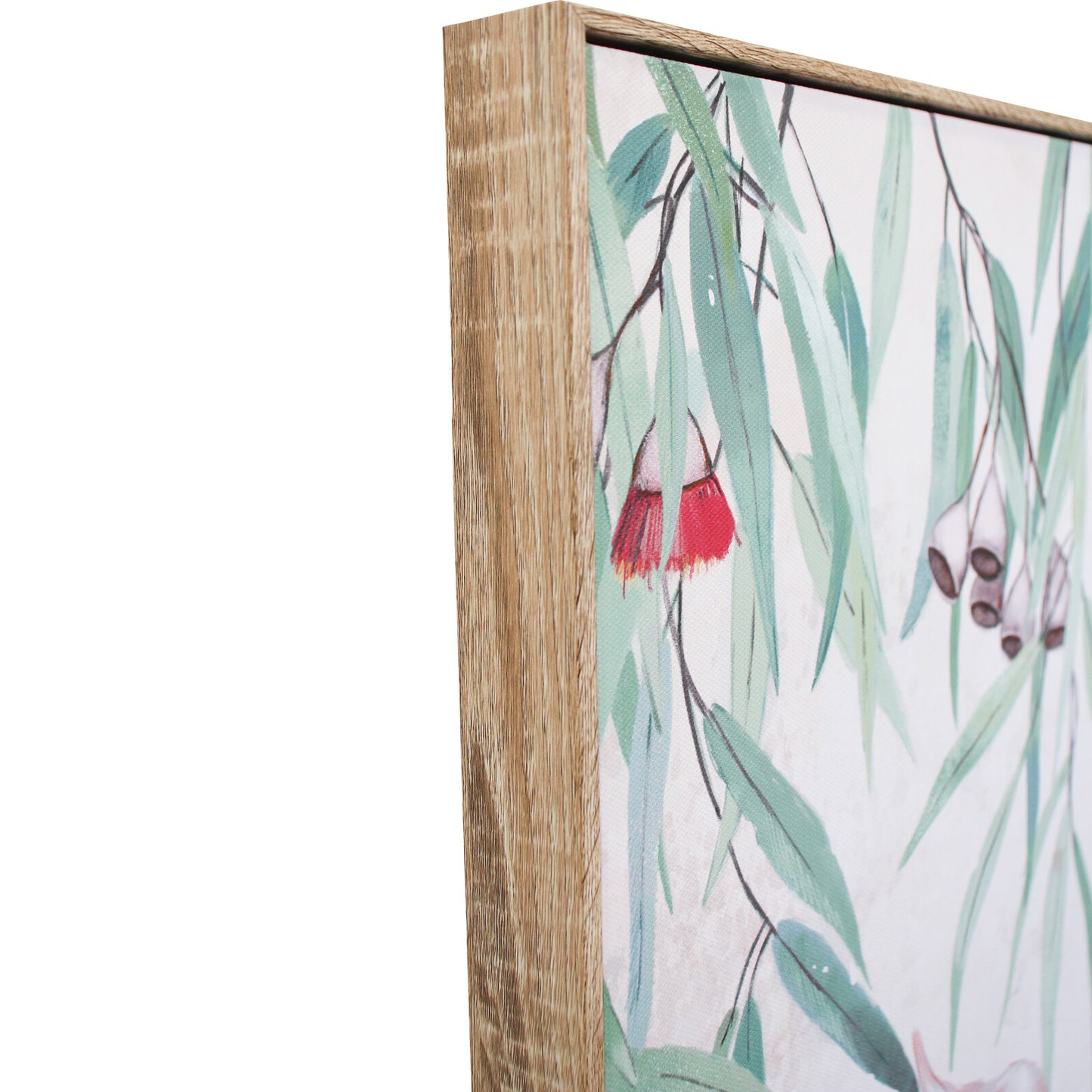 Pink Beauty Framed Canvas Print Artwork - 60cm x 90cm