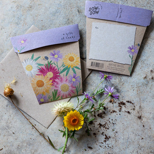 Gift Card & Seeds - Native Daisies