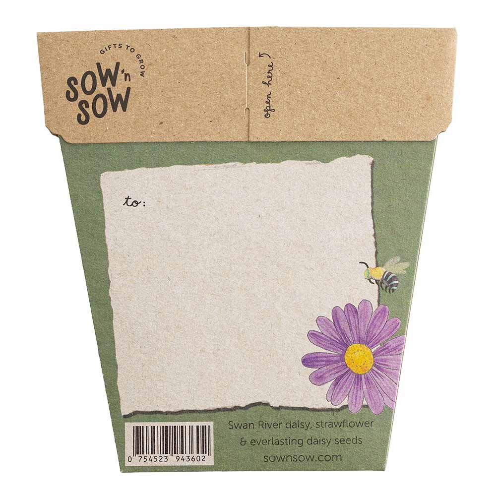 Everlasting Daisy, Strawflower & Swan River Daisy Birthday Wishes - Gift Card & Seeds