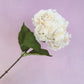 Silk Artificial Hydrangea Stem - Natural Creamy White