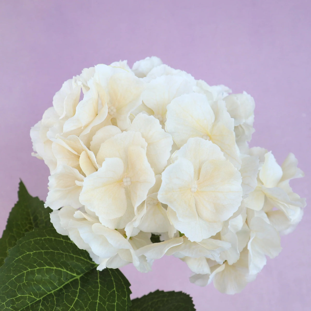 Silk Artificial Hydrangea Stem - Natural Creamy White