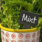 Slate Plant Marker - Blank - LARGE