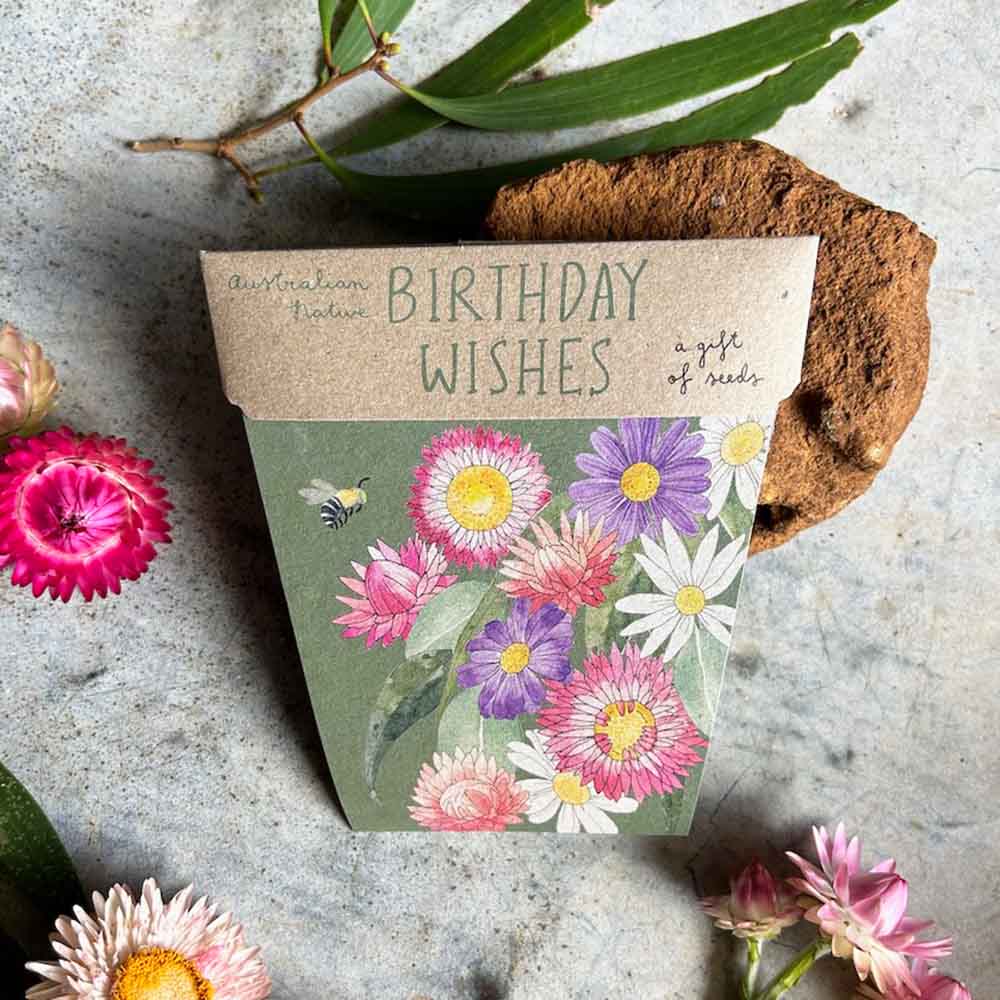 Everlasting Daisy, Strawflower & Swan River Daisy Birthday Wishes - Gift Card & Seeds