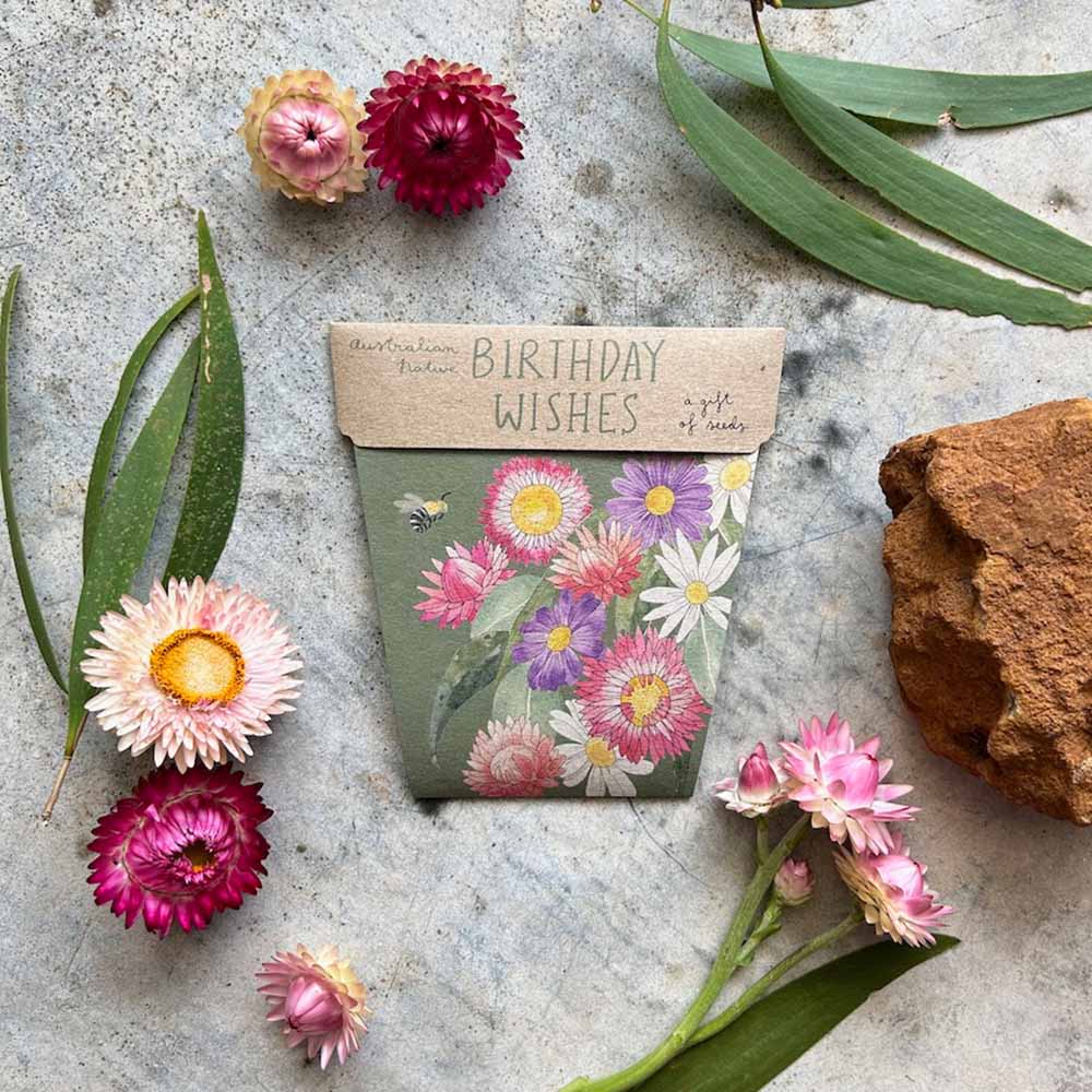 Everlasting Daisy, Strawflower & Swan River Daisy Birthday Wishes - Gift Card & Seeds