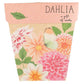'Delightful Dahlia' - Gift Card & Seeds