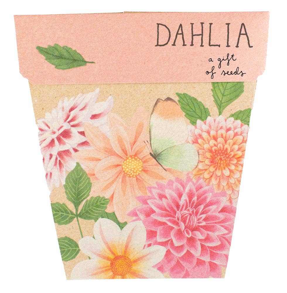 'Delightful Dahlia' - Gift Card & Seeds