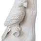 Bookends - White - Cockatoo Pair
