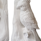 Bookends - White - Cockatoo Pair