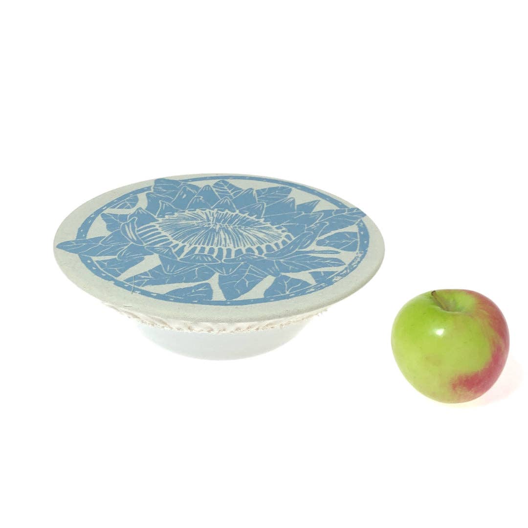 Blue and white ceramic plate with floral design next to a green apple on a white background