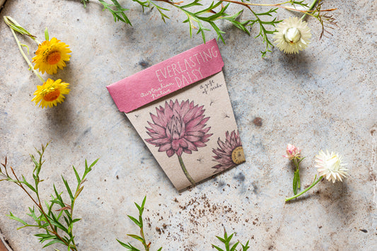 Gift Card & Seeds - Everlasting Daisy