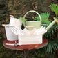 Metal Caddy - with Carry Handle