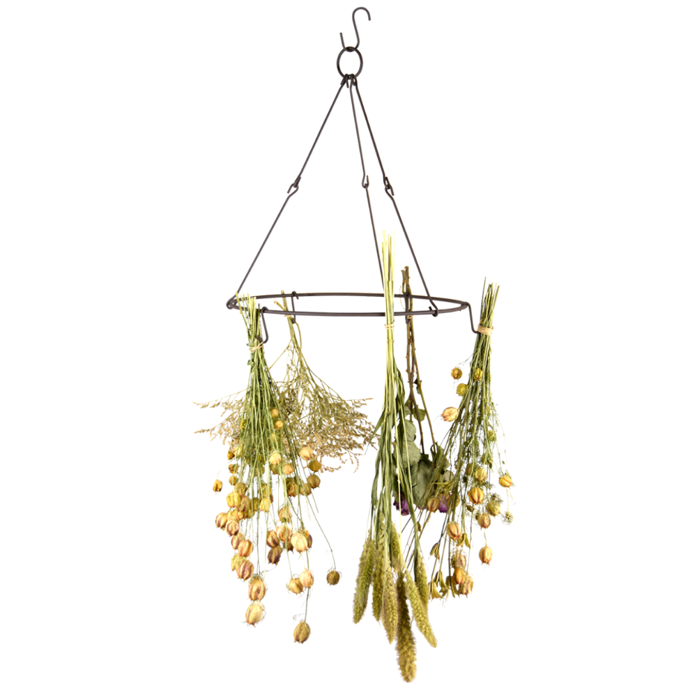 Hanging basket with dried plants on a white background