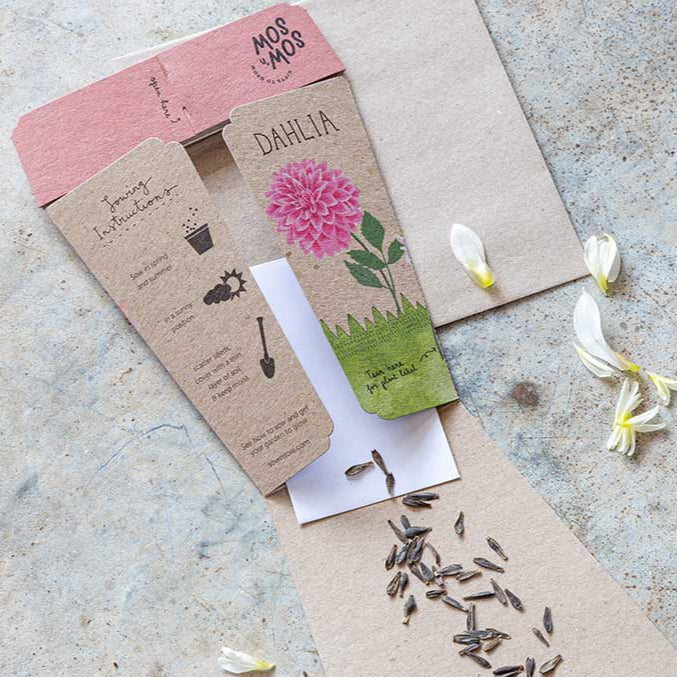 'Delightful Dahlia' - Gift Card & Seeds