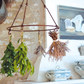 Herbs hanging from a metal rack in a kitchen setting with decorative elements.