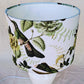 Green Garden Honeyeater Lampshade